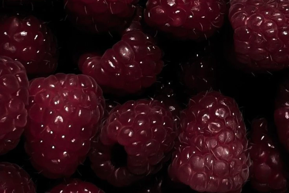 عکس موزه آثار هنری من