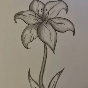 عکس چگونه برنامه ریزی کنیم