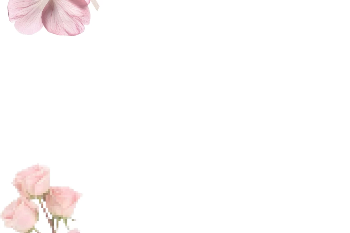عکس انواع کتابخوان ها~𐙚⋆