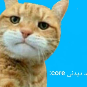 کاور