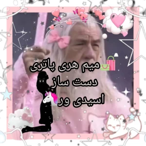 تست میم هری پاتری دست ساز اسیدی