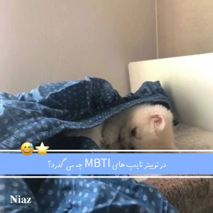 عکس در توییتر تایپ های MBTIچه میگذرد ؟