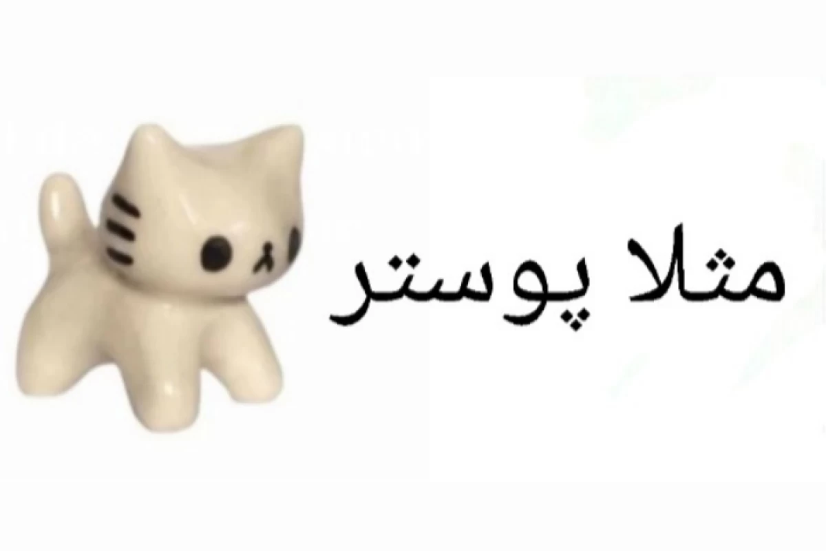 عکس انواع آدما وقتی جنگ شده