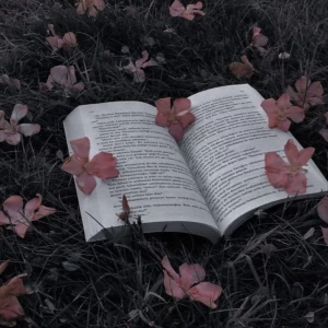عکس کتابهایی که اگه بخونی چند وقت یادت میره تو خونتونی