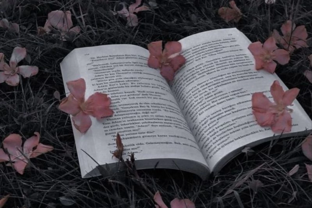 عکس کتابهایی که اگه بخونی چند وقت یادت میره تو خونتونی