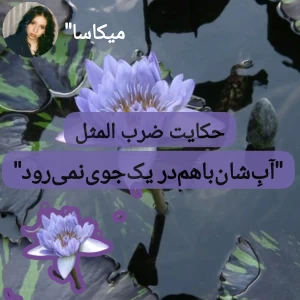 عکس آب‌شان باهم در یک جوی نمی رود