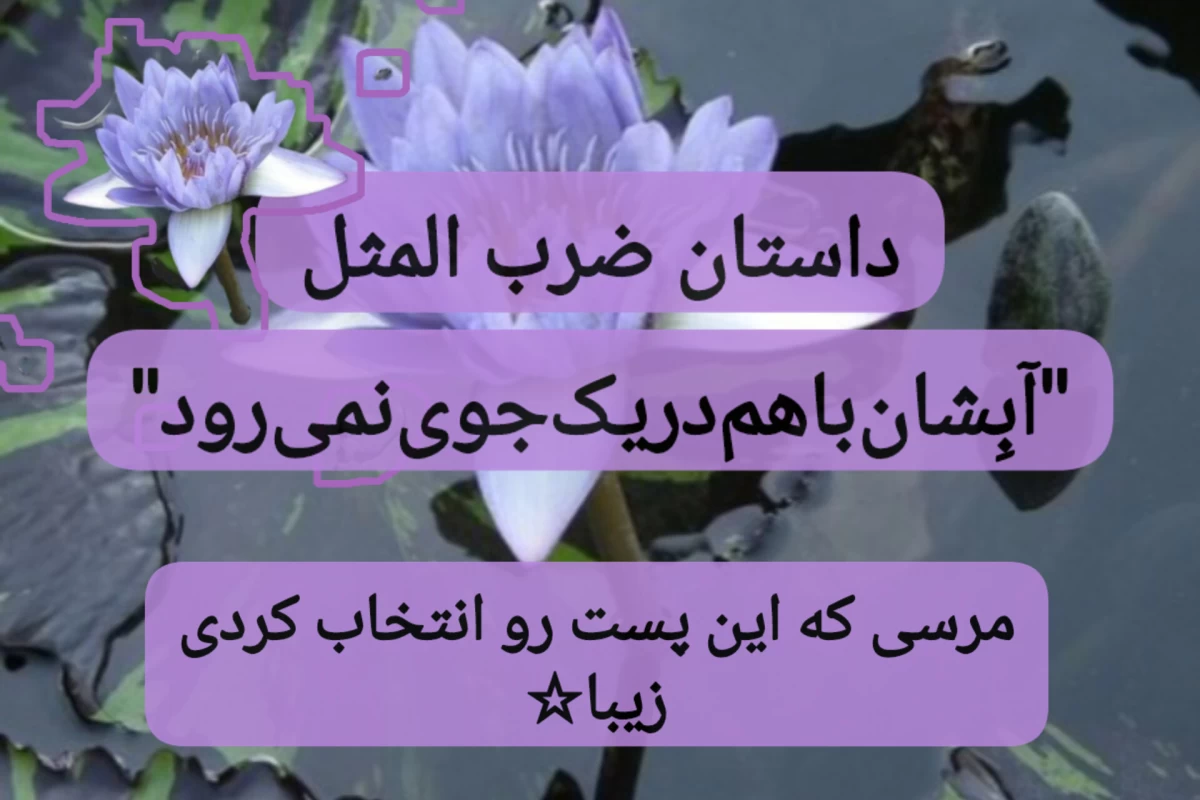 عکس آب‌شان باهم در یک جوی نمی رود