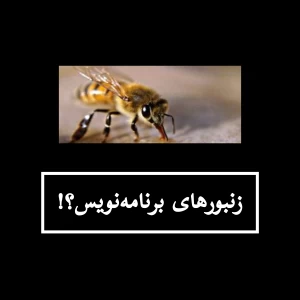 عکس زنبورهای برنامه‌نویس!