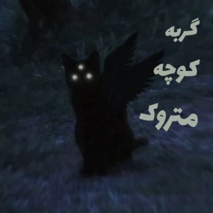 عکس گربه کوچه متروک؛