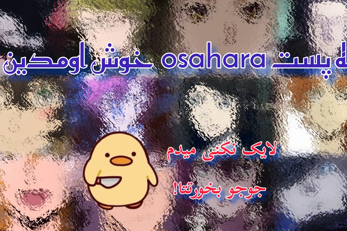 عکس بانگو شانسی>~