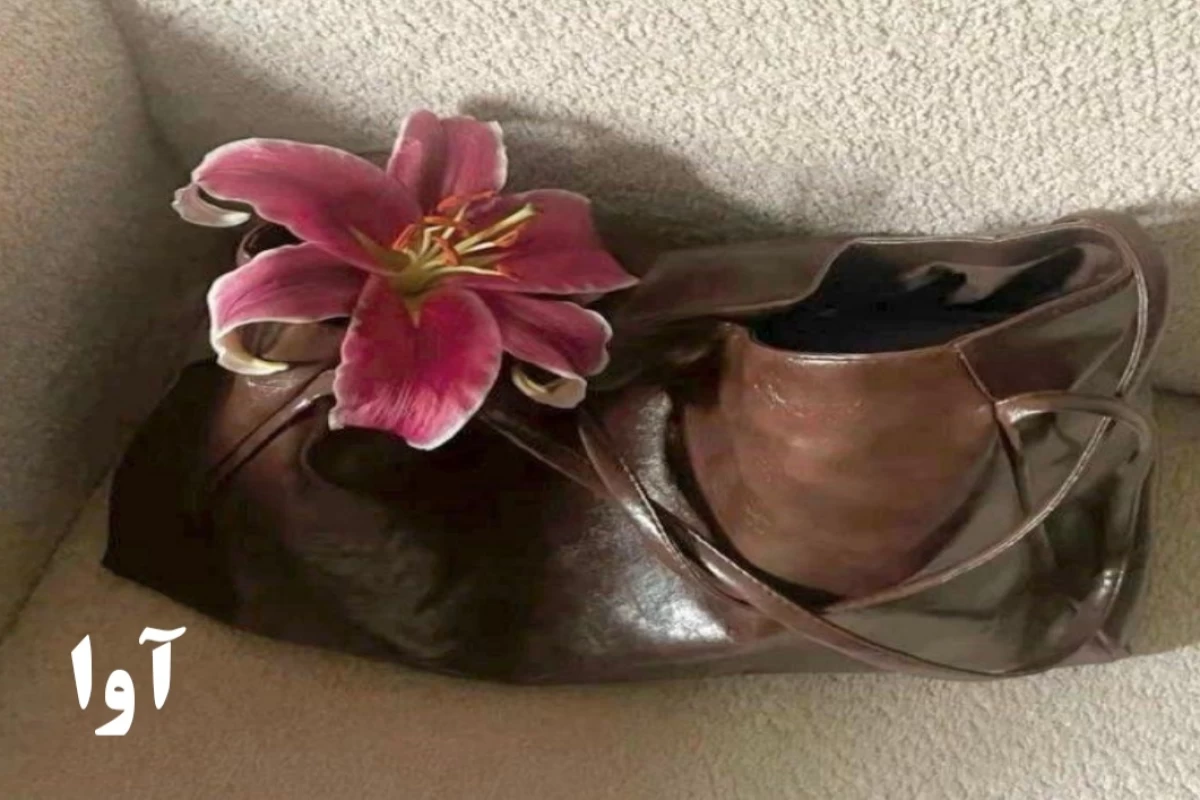 عکس بازی زندگی