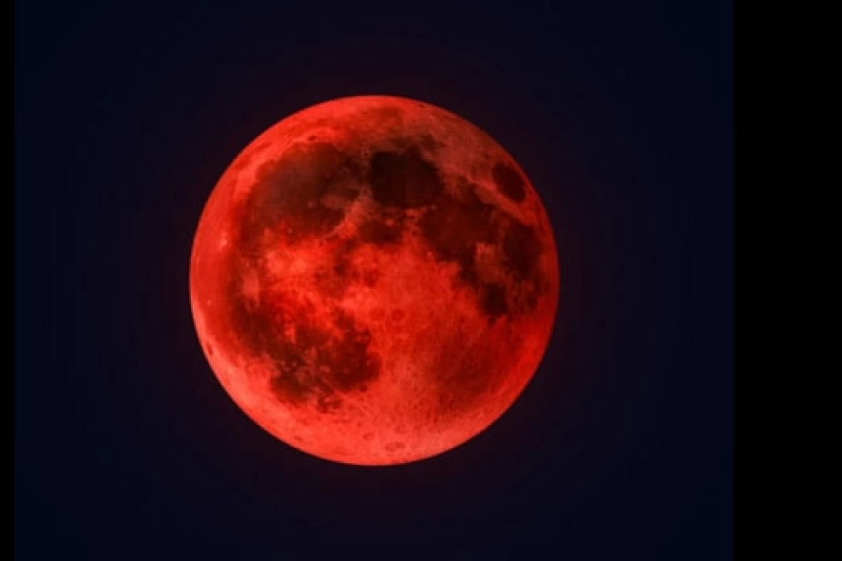 عکس من کیستم؟