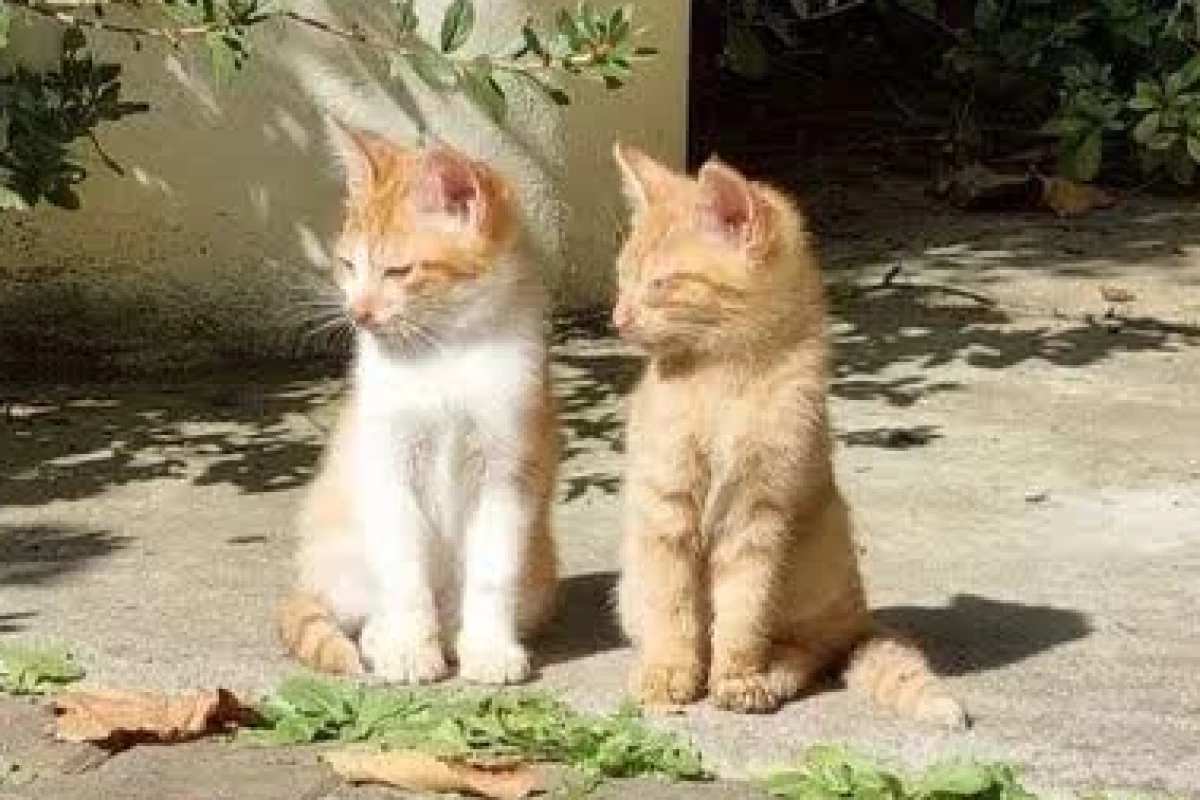 عکس تو دشمن منی