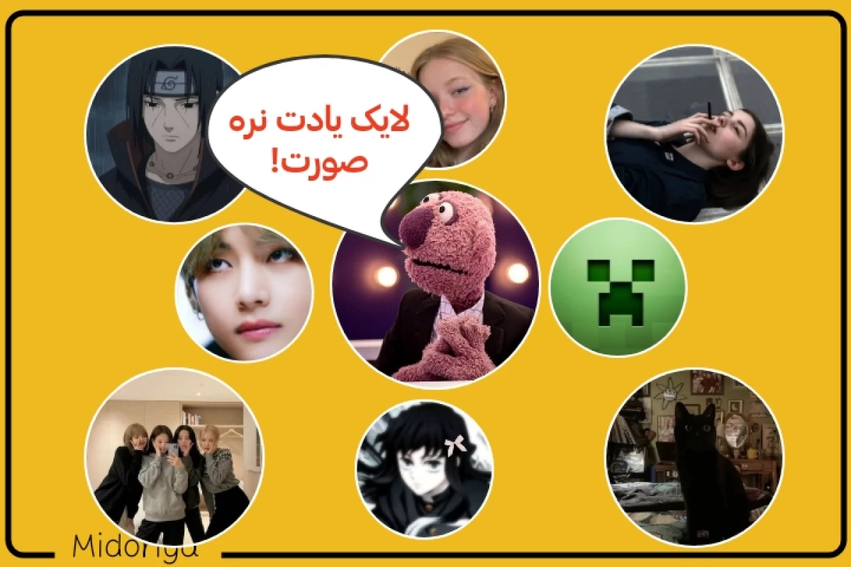 عکس شخصیت شناسی از سبک پروفایل