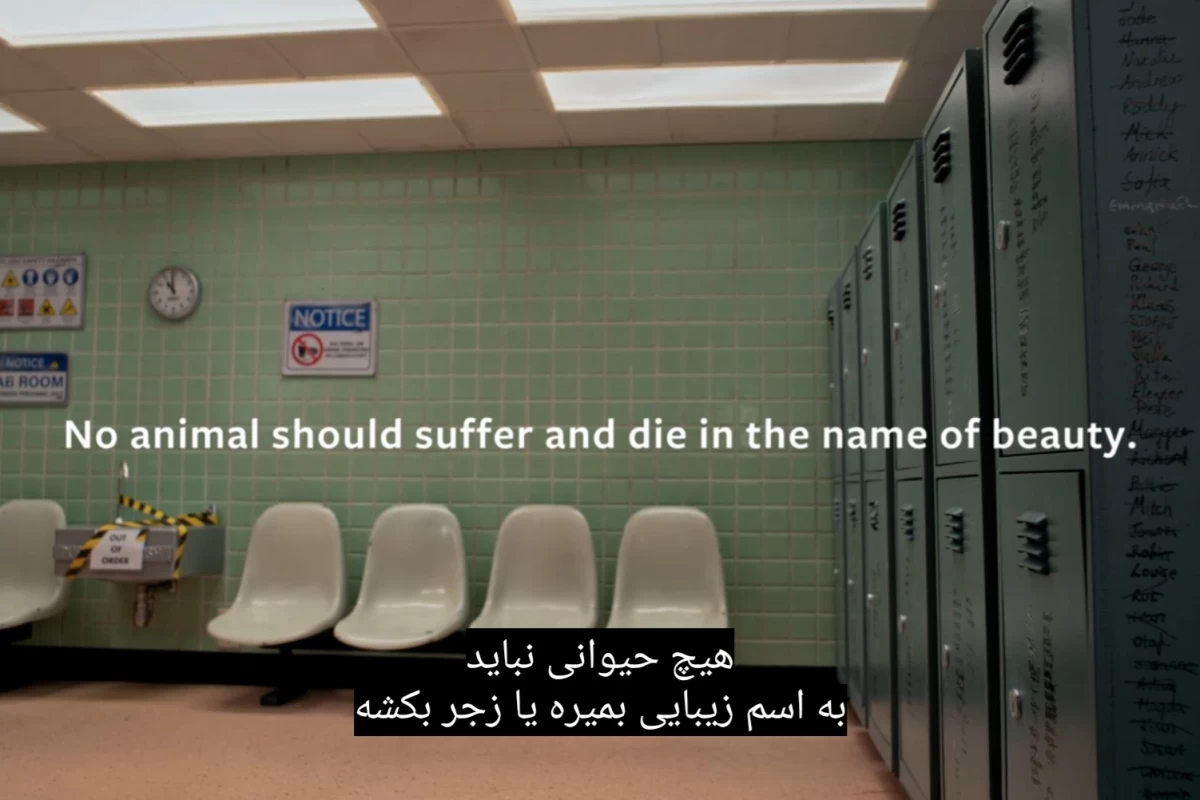 عکس رالف را نجات دهید