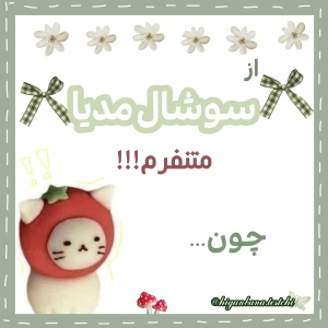 عکس از سوشال مدیا منتفرم!