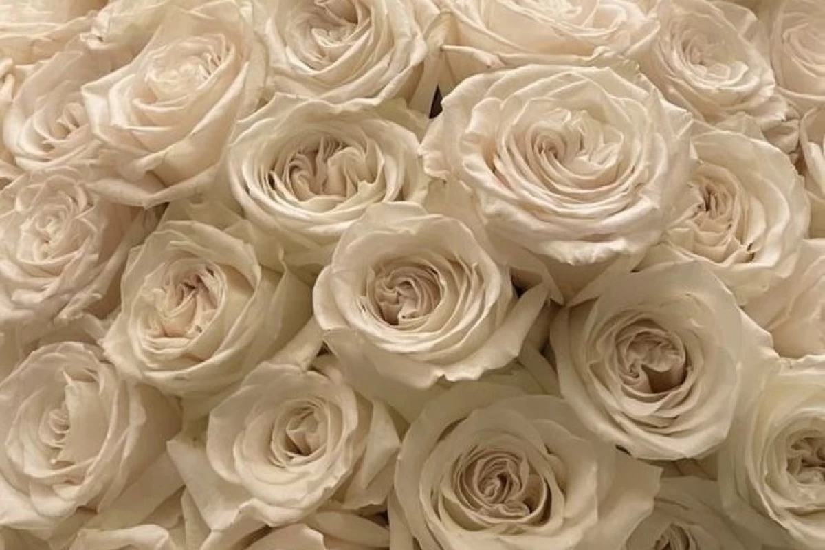 عکس نکات زیبایی