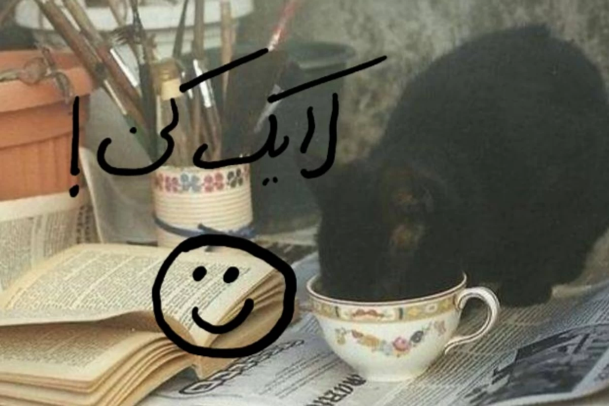 عکس کتاب‌های خوانده شده و نظرم به آنها!