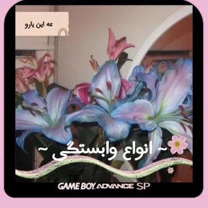 عکس انواع وابستگی