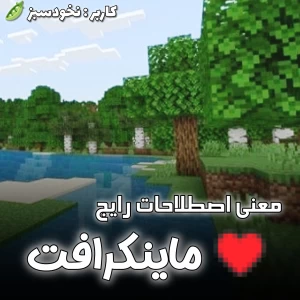 عکس معنی اصطلاحات رایج ماینکرافت