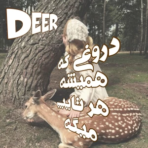 عکس دروغی که هر تایپ همیشه میگه