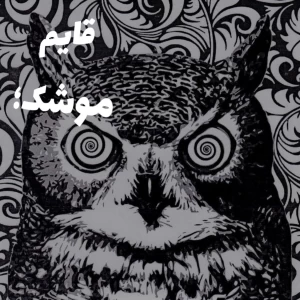 عکس قایم موشک