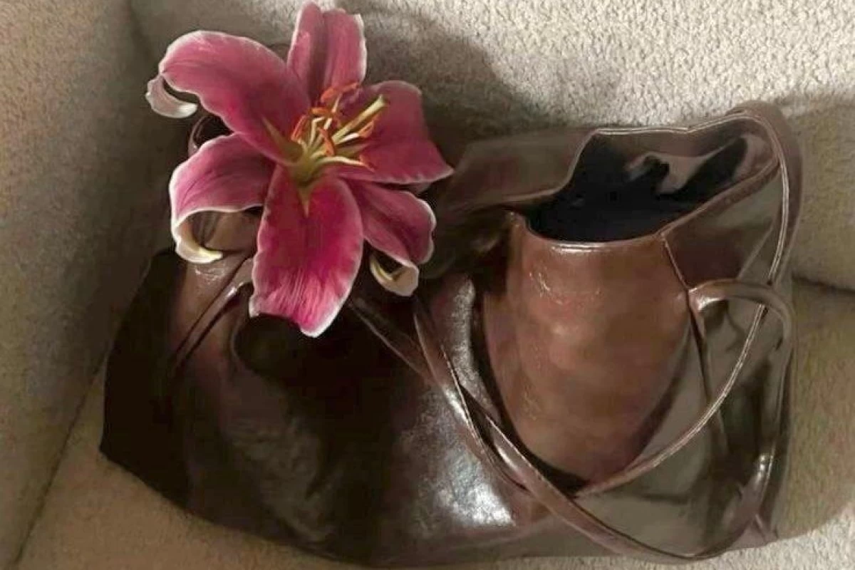 من هیچ وقت نمی‌خواستم...
