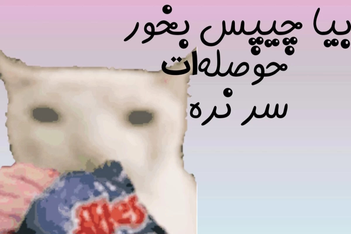 عکس سبک حل مسئله ات چیه؟
