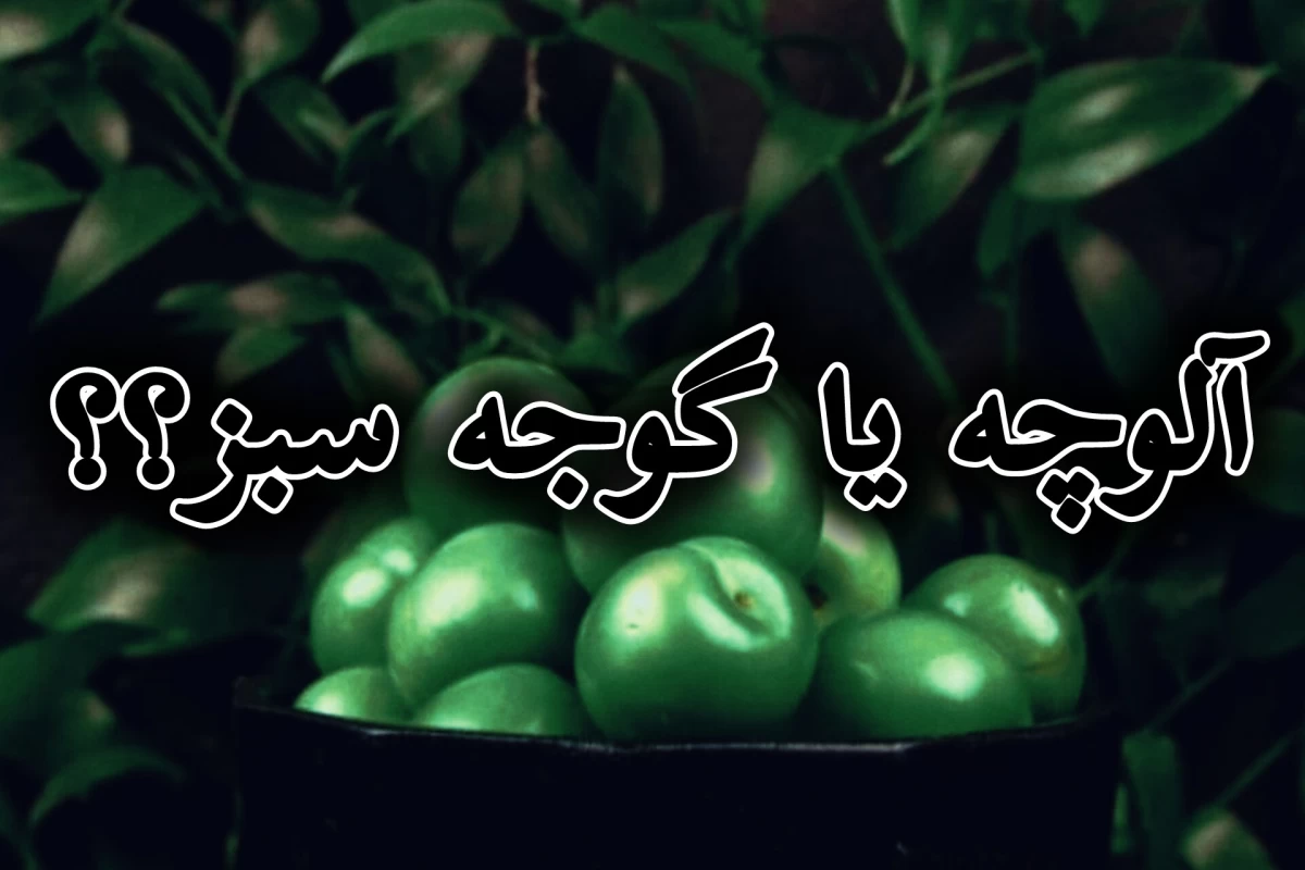 عکس آلوچه درست تر است یا گوجه سبز؟/پایان این بحث