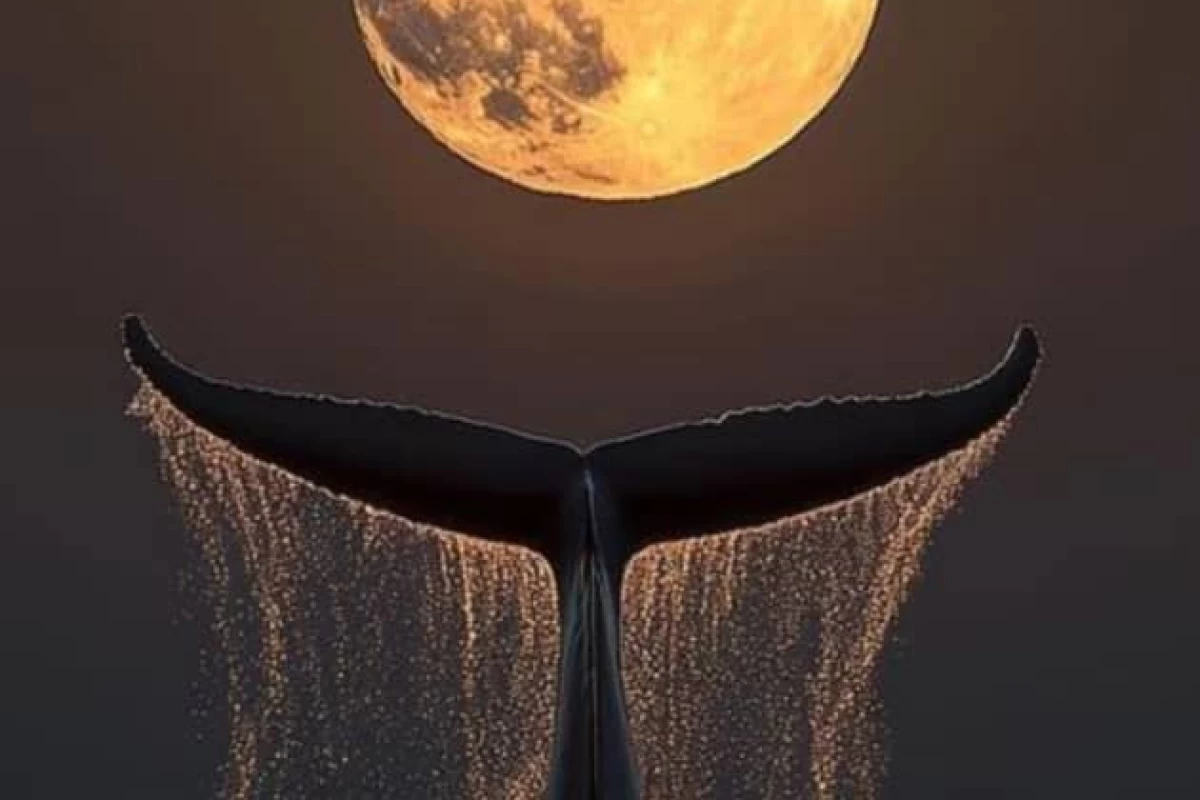 عکس کمی از بزرگان بخوانیم