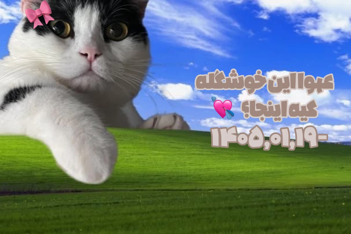 عکس ایـن‌روز‌هـا‌چـجـوری‌مـی‌گـذره؟!