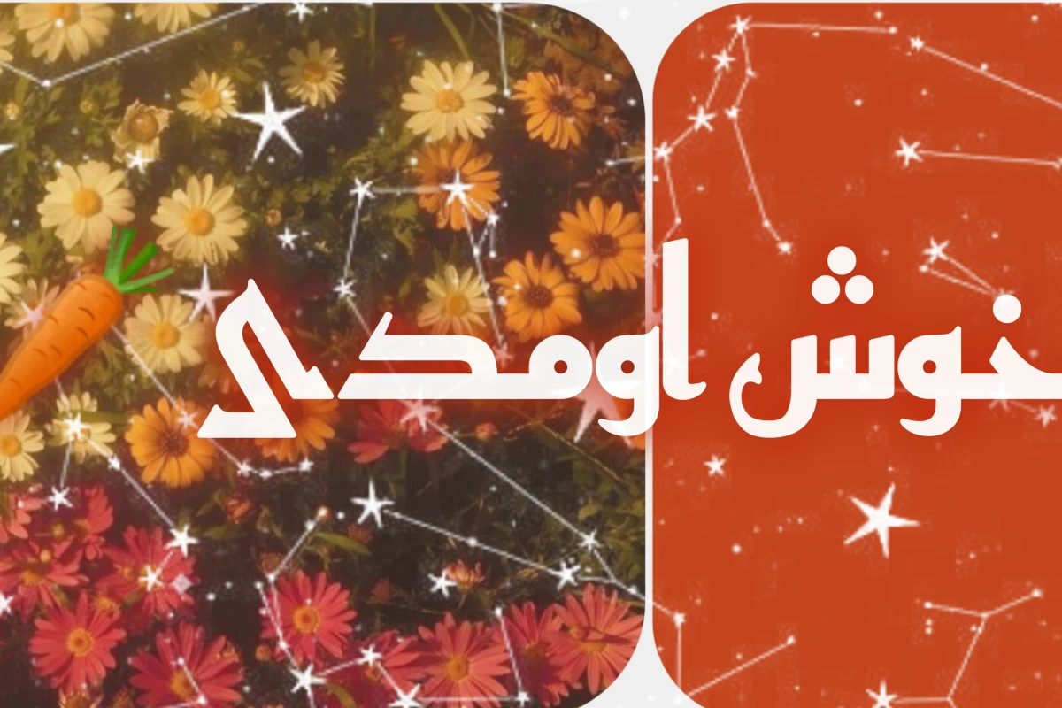 عکس هنر ظریف بی خیالی