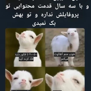 عکس میم آباد ۵