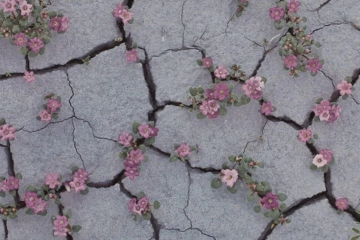 عکس لبخند در خواب نشانه چیست؟