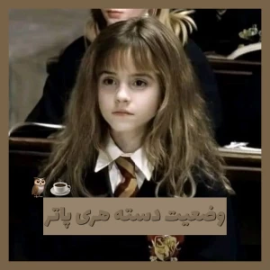 عکس وضعیت دسته هری پاتر