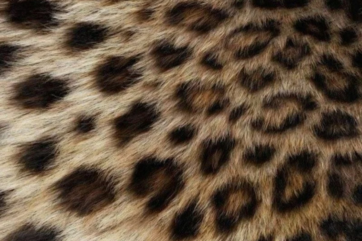 عکس ایده استايل