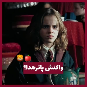 عکس واکنش پاترهدا؟