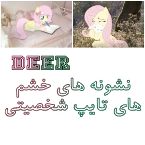 تست نشونه های خشم هر تایپ شخصیتی