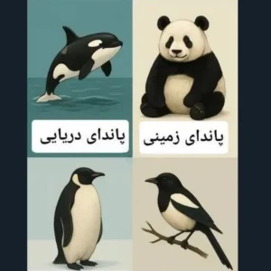 عکس مـــــــــیـــــــم