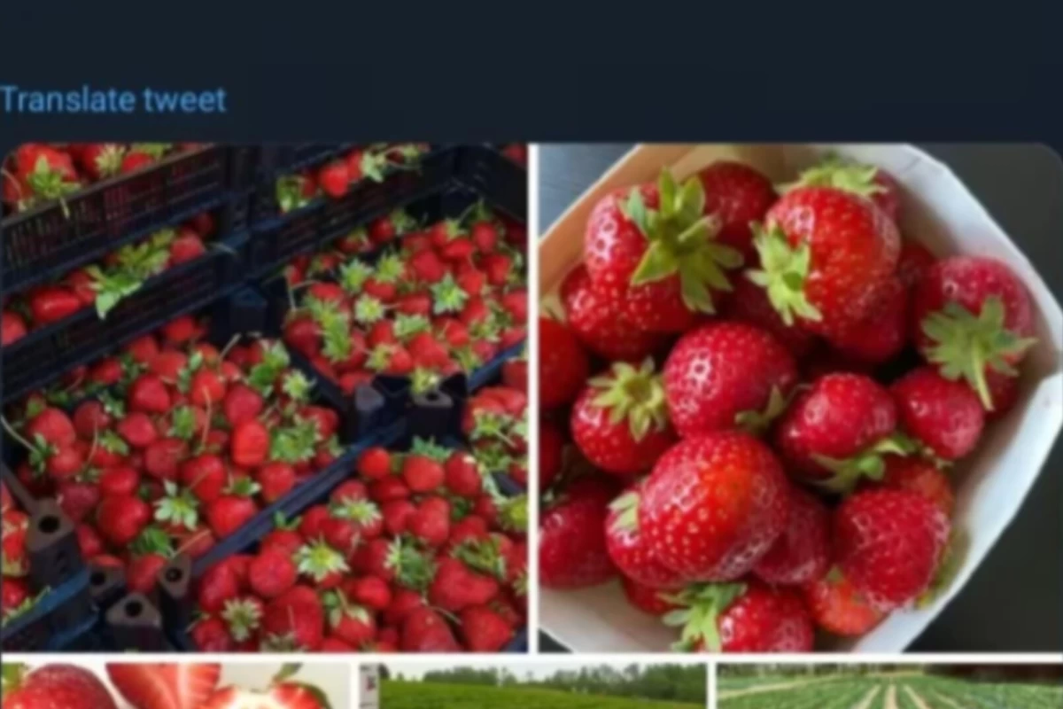 عکس توییت ۱۱