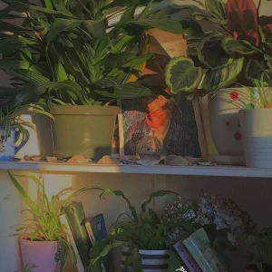 عکس معرفی کتاب برای نوجوان ها:)p²