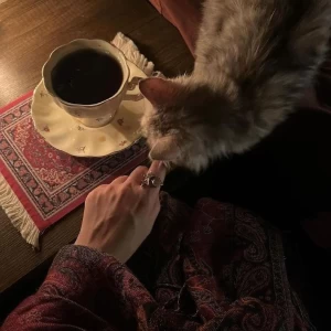 به وقت چای
