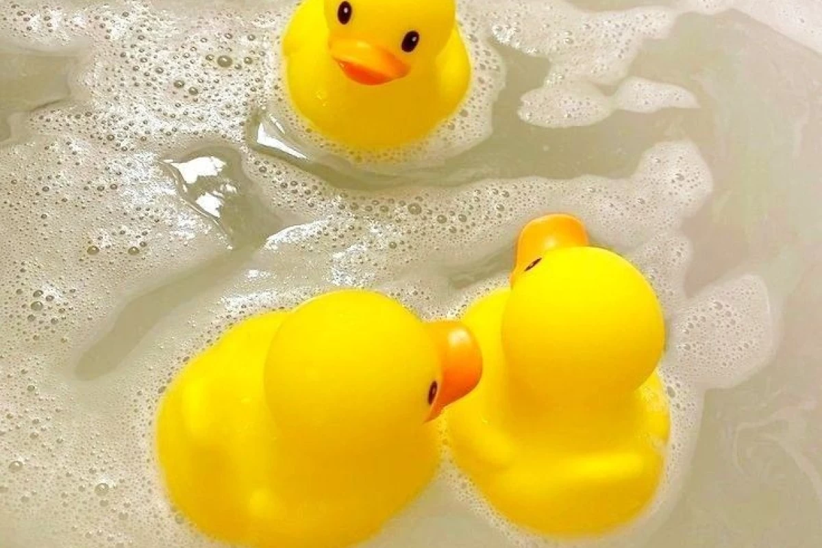 عکس ابزارادیت‌به‌دردبخورآوردم😼