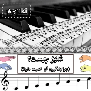 عکس سُلفِژ چیست؟(چرا یادگیری آن اهمیت دارد؟)