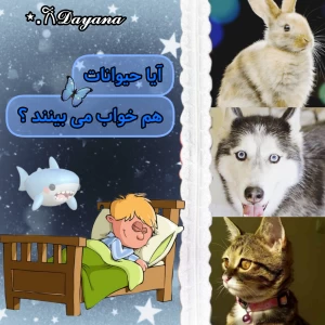 عکس آیا حیوانات هم خواب می بینند ؟