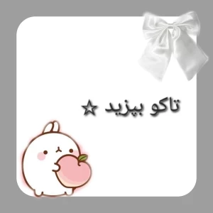 عکس تاکو درست کنیم