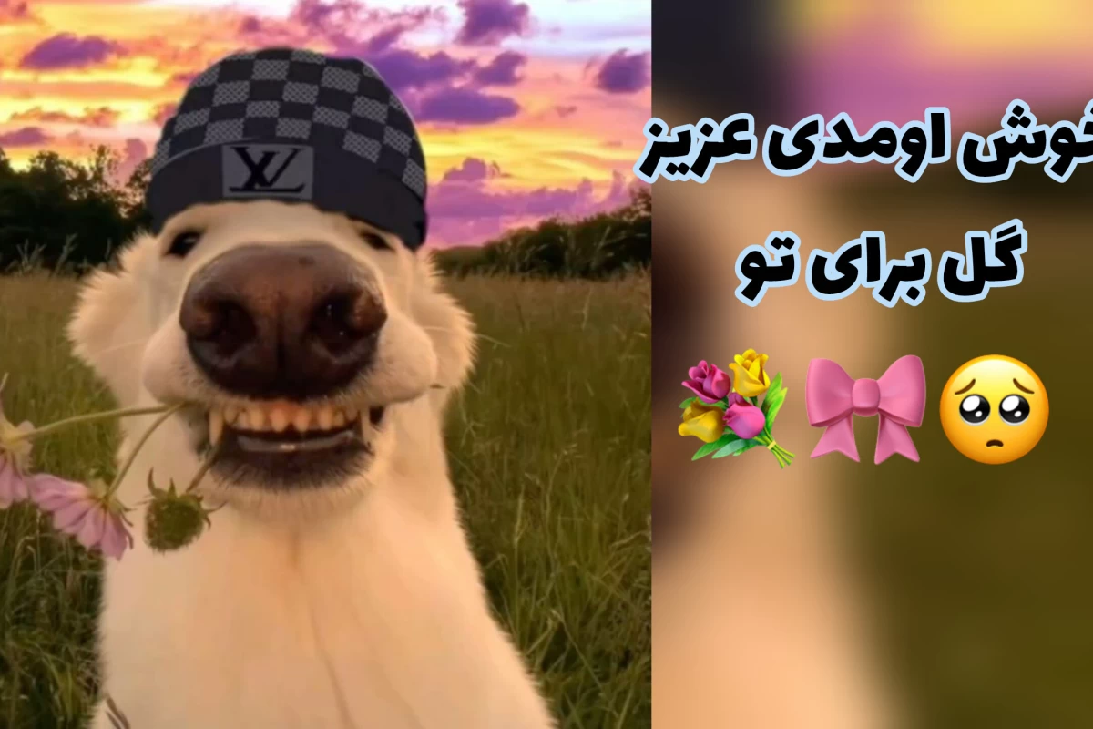 عکس کلاس آنلاین core: