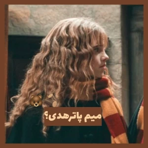 عکس میم پاترهدی؟