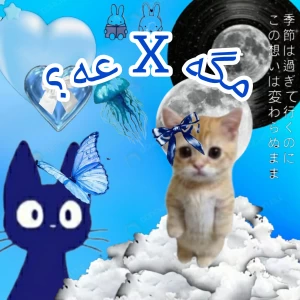 عکس مگه X عه؟