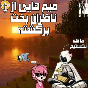 عکس اندکی میم از ناظران گرامی